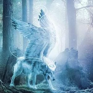 Meet your Posher, Troy